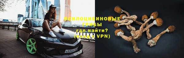 стаф Армянск