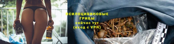стаф Армянск