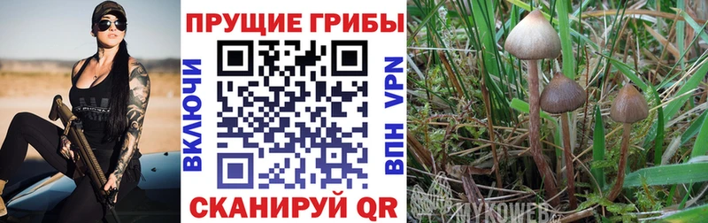 Галлюциногенные грибы ЛСД  Удачный 